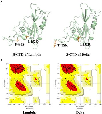 Identification of natural compounds as SARS-CoV-2 inhibitors via molecular docking and molecular dynamic simulation